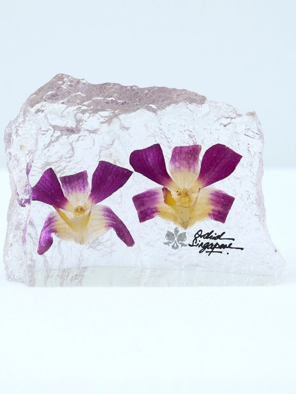 2 Real Orchids In Resin Preserved Purple Flowers Paperweight Singapore BEAUTIFUL